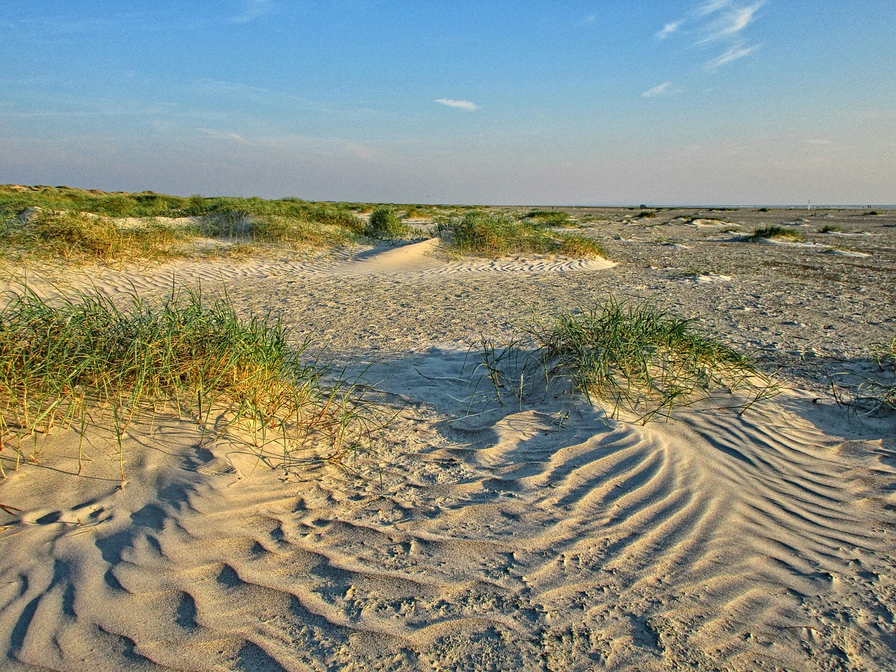 dune beach north sea free photo