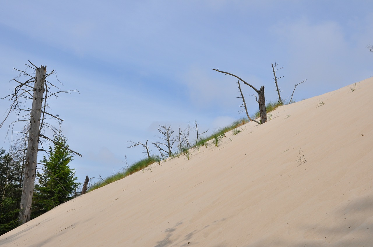 dune sea sand free photo