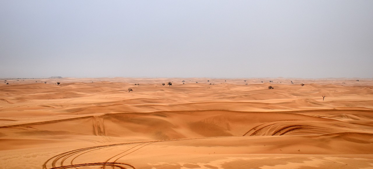 dune safari path free photo