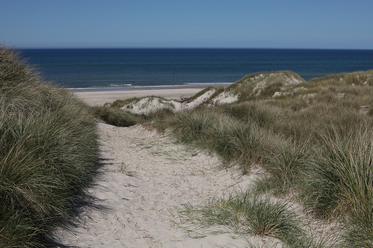 dune dunes sand dunes free photo