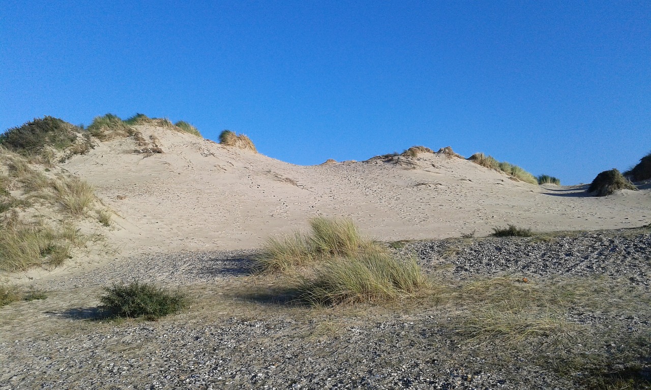 dune holiday wild free photo