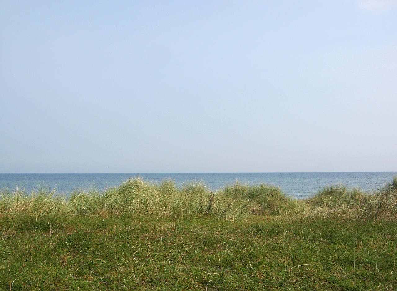 dune dune grass baltic sea free photo