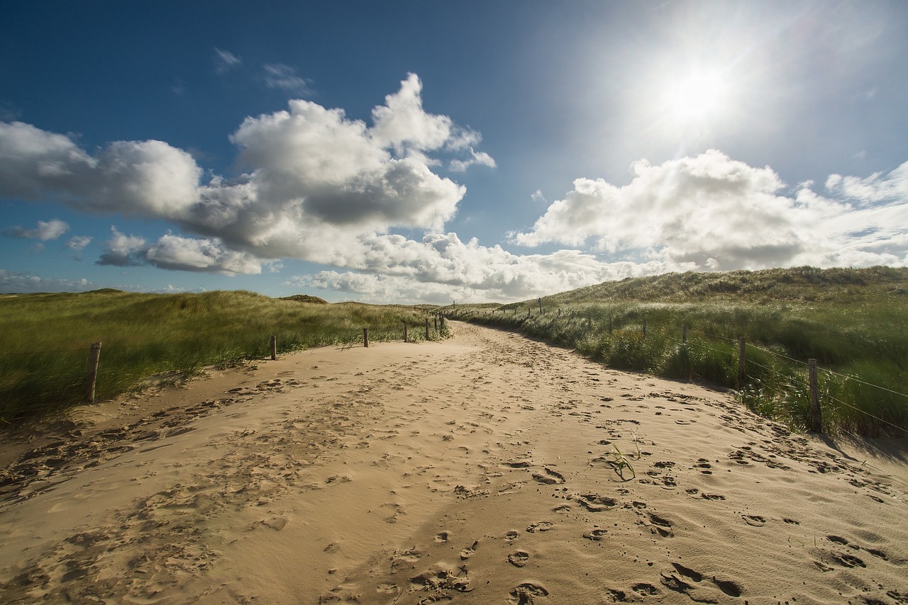 dune dunes sand dune free photo