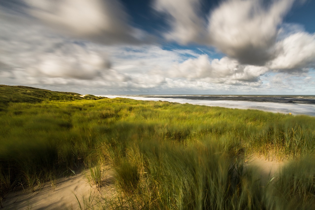 dune sea clouds free photo