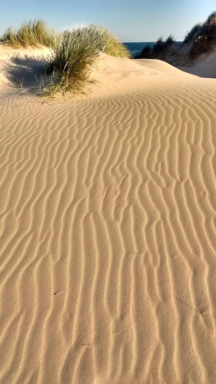 dune sand landscape free photo