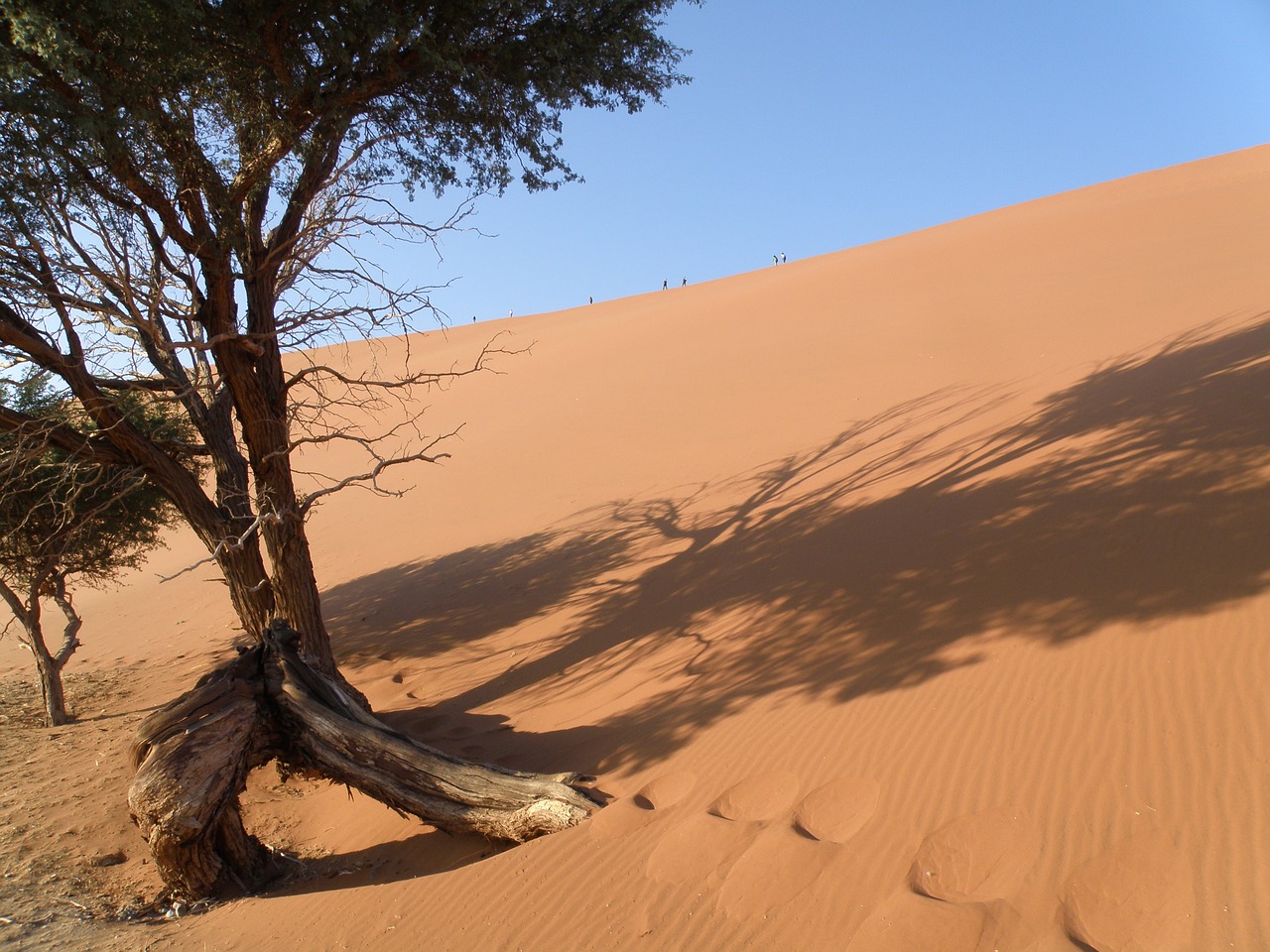 dune namibia desert free photo