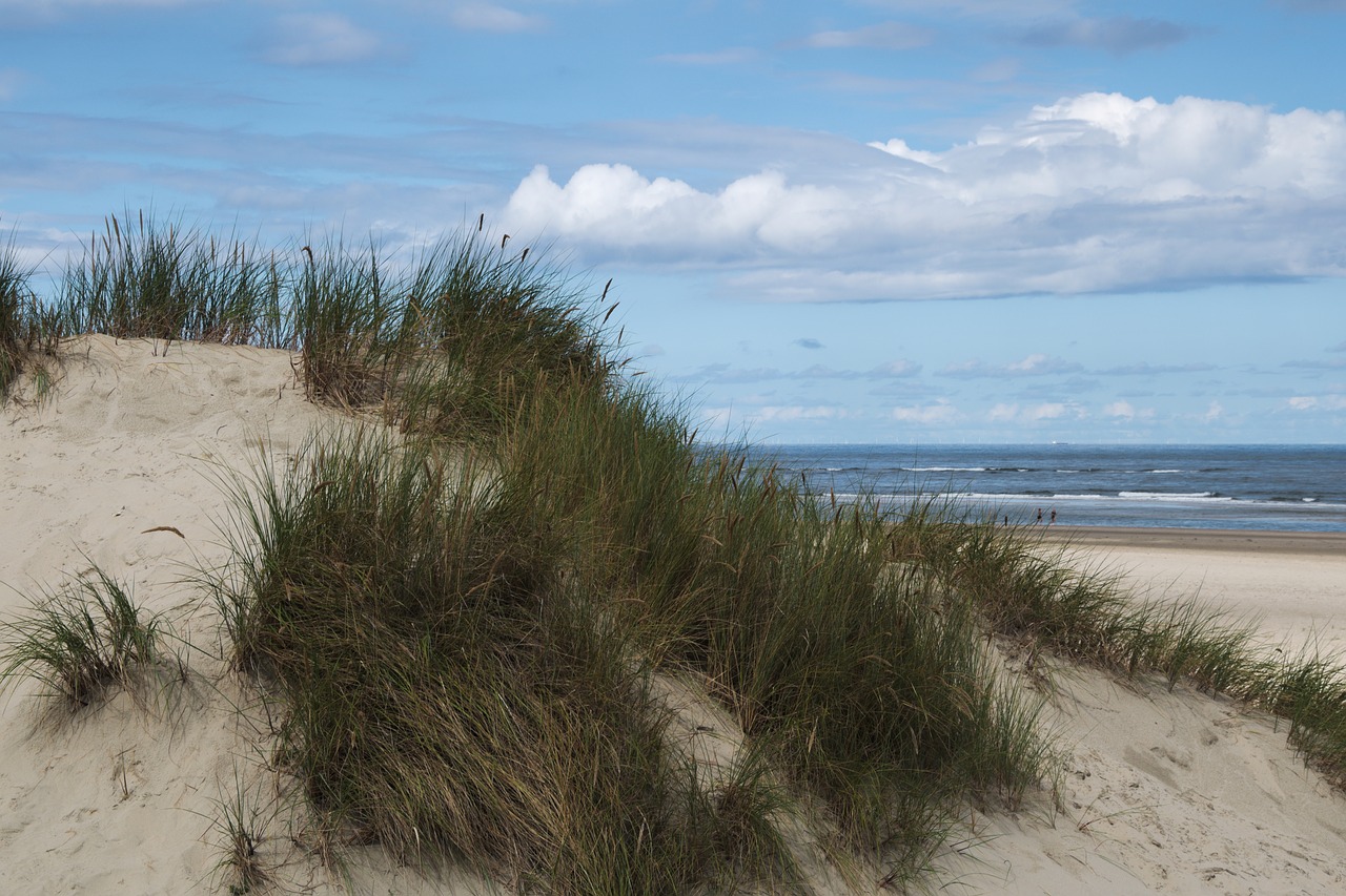 dune baltrum north sea east frisia free photo