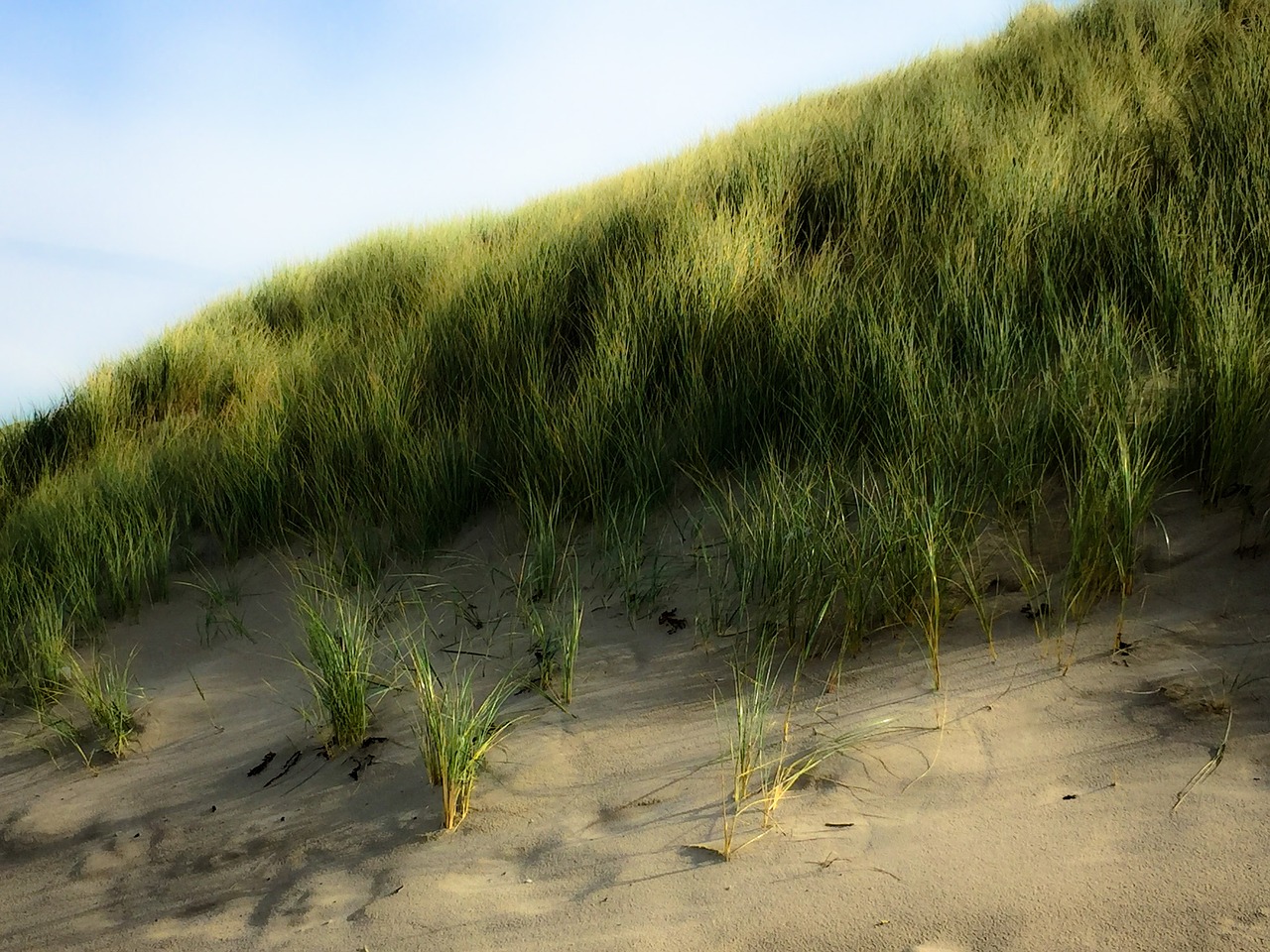 dune water beach free photo