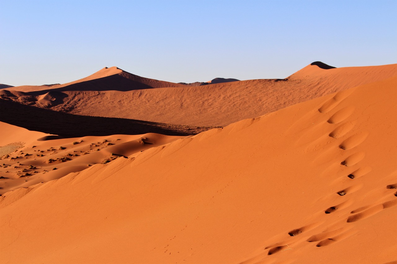 dune  namibia  africa free photo