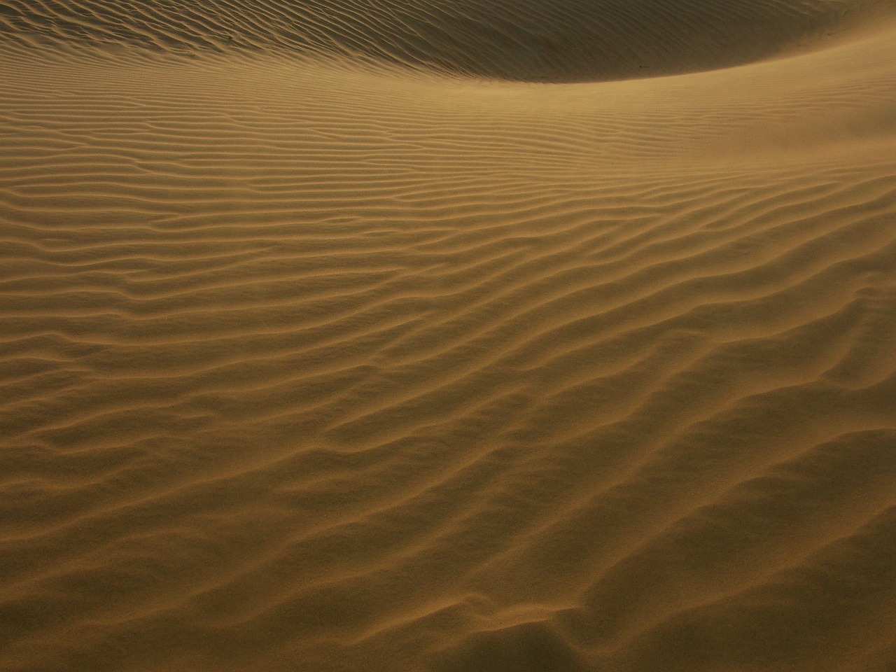 dune dunes desert free photo