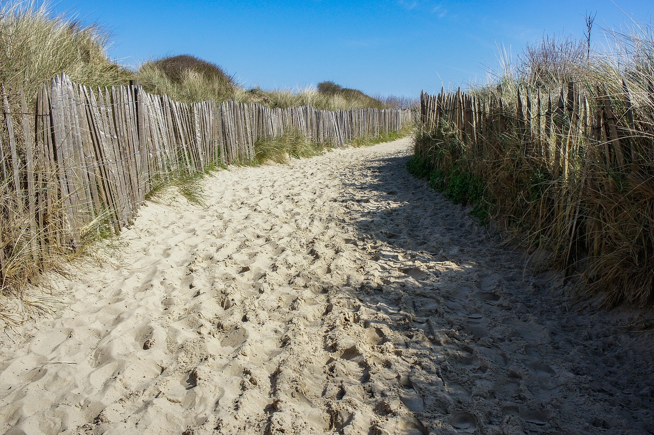 dune  sand  zeen free photo