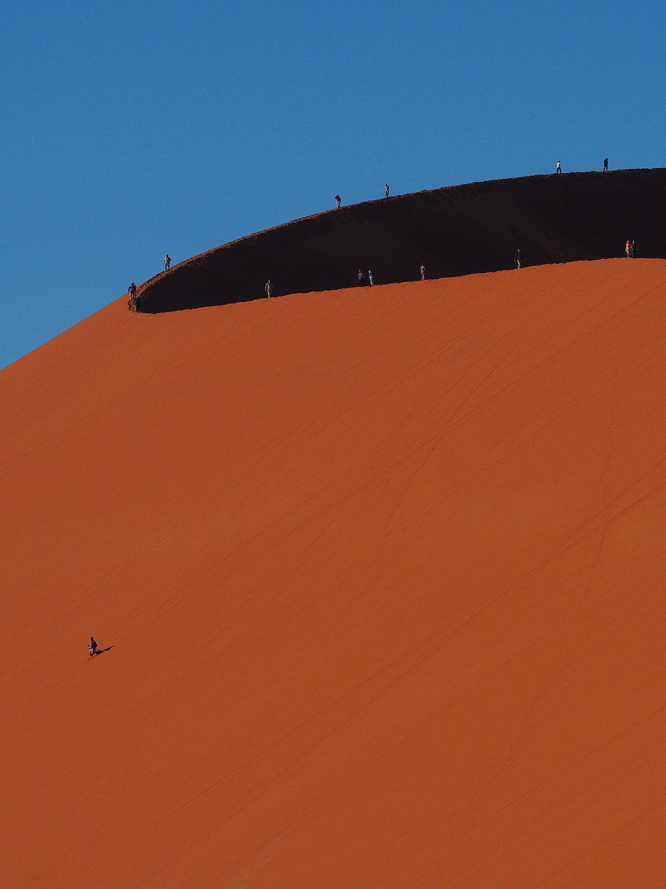 dune  namibia  sossusvlei free photo