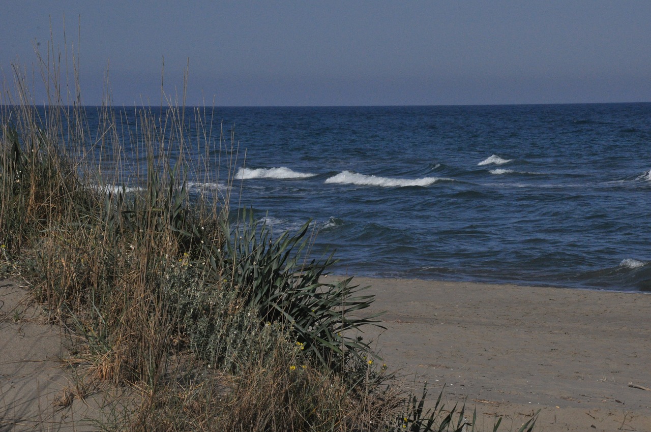 dune  duna  terzo cavone free photo