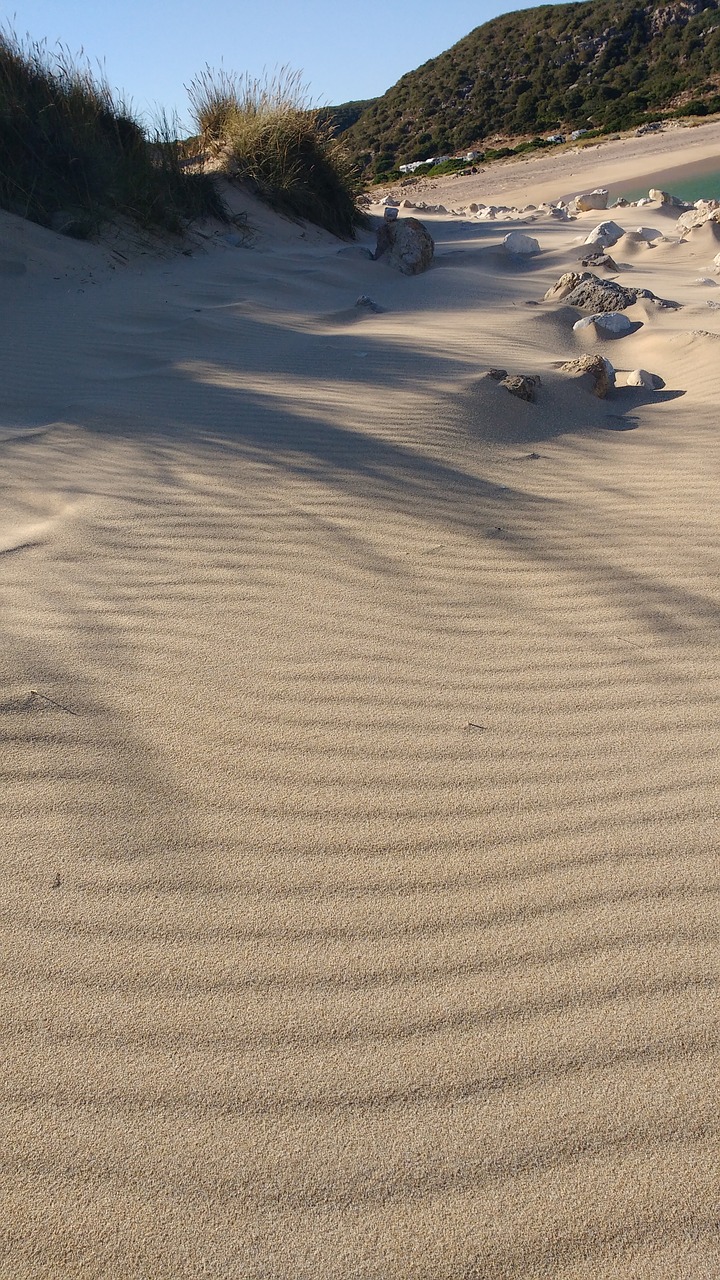 dune  sand  sea free photo