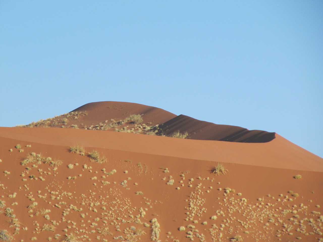 dune desert sand free photo