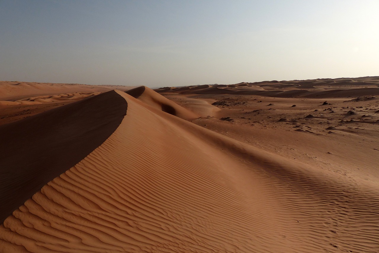 dune  dunes  oman free photo