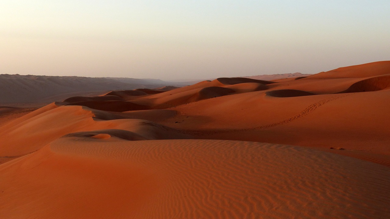 dune  sunset  desert free photo