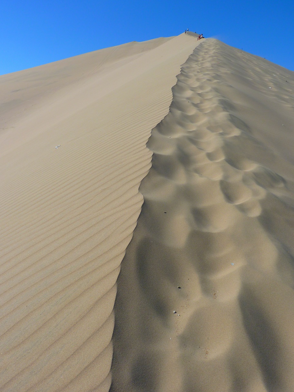 dune desert dry free photo