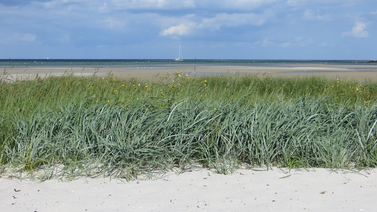 dune baltic sea sea free photo