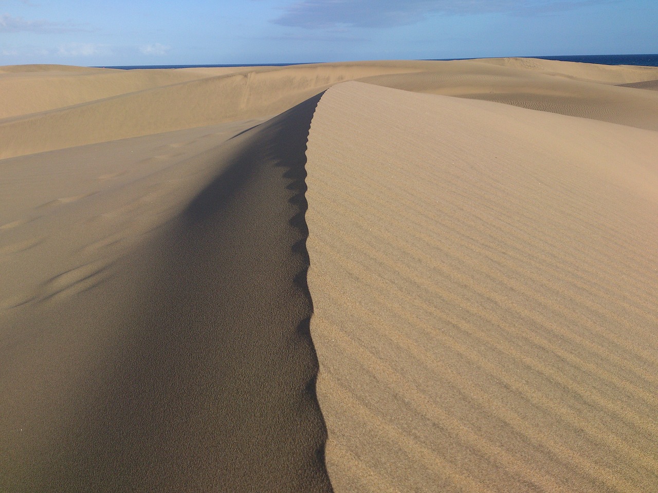 dune desert sand free photo