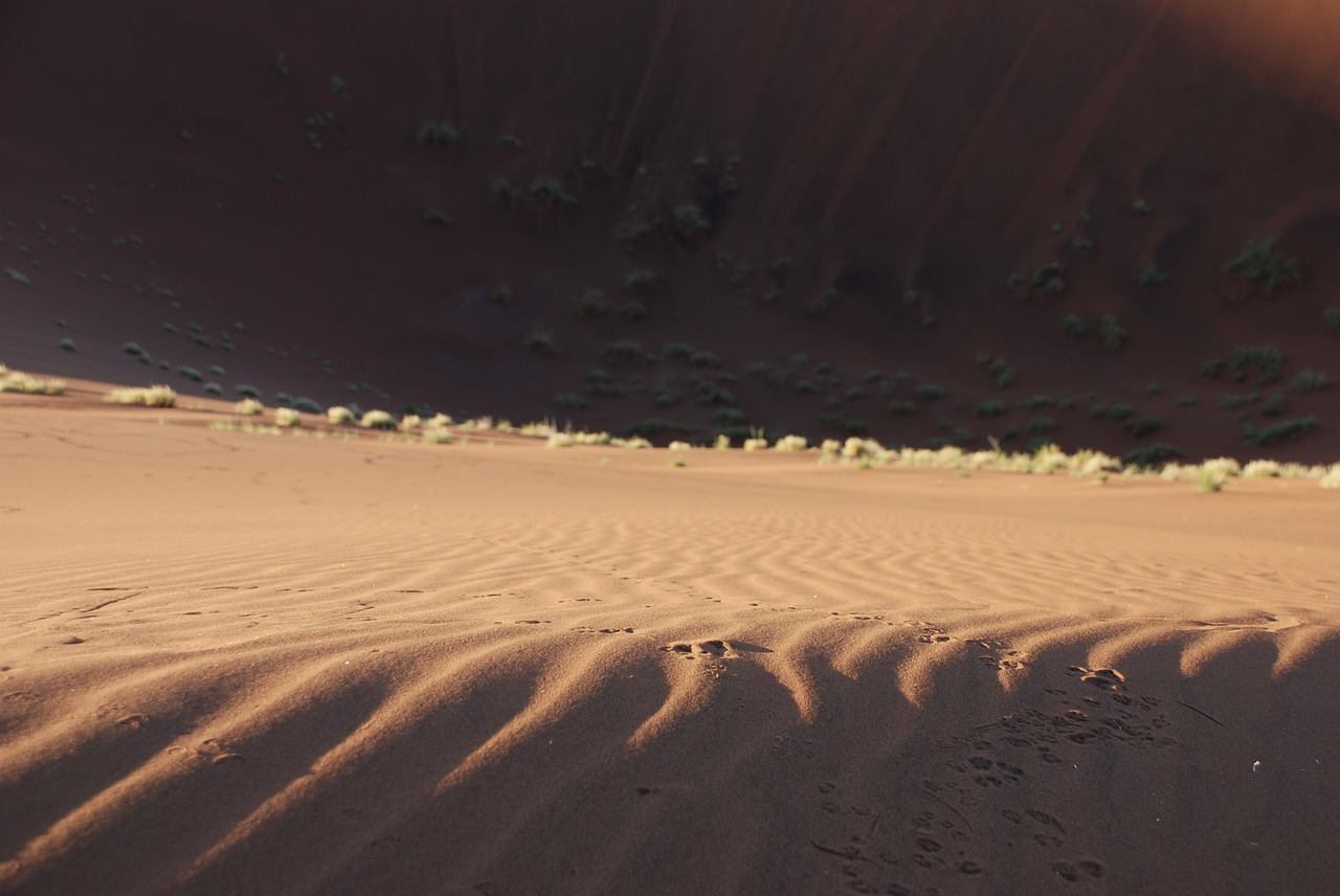 dune sand desert free photo