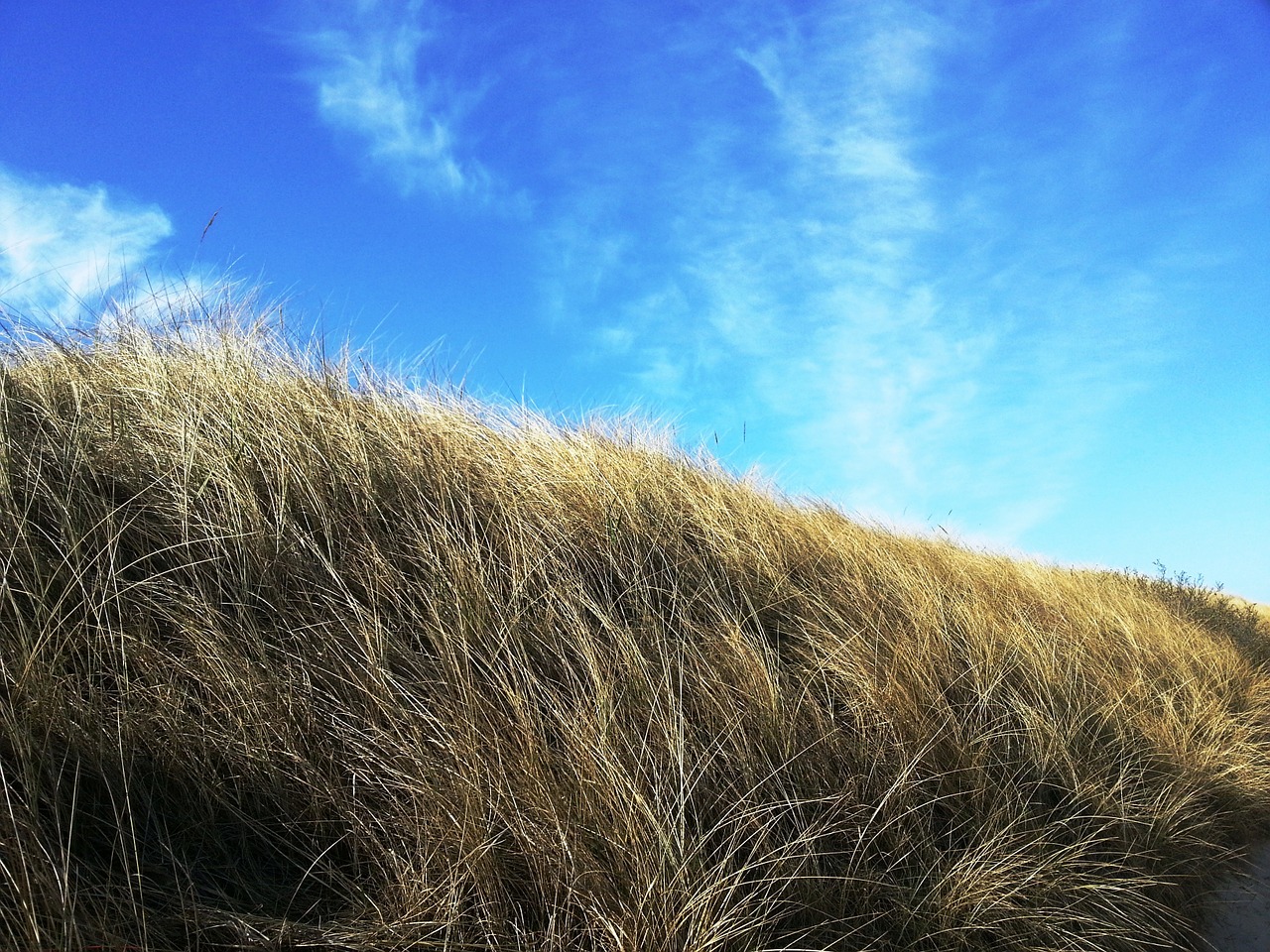 dune cuxhaven beach free photo