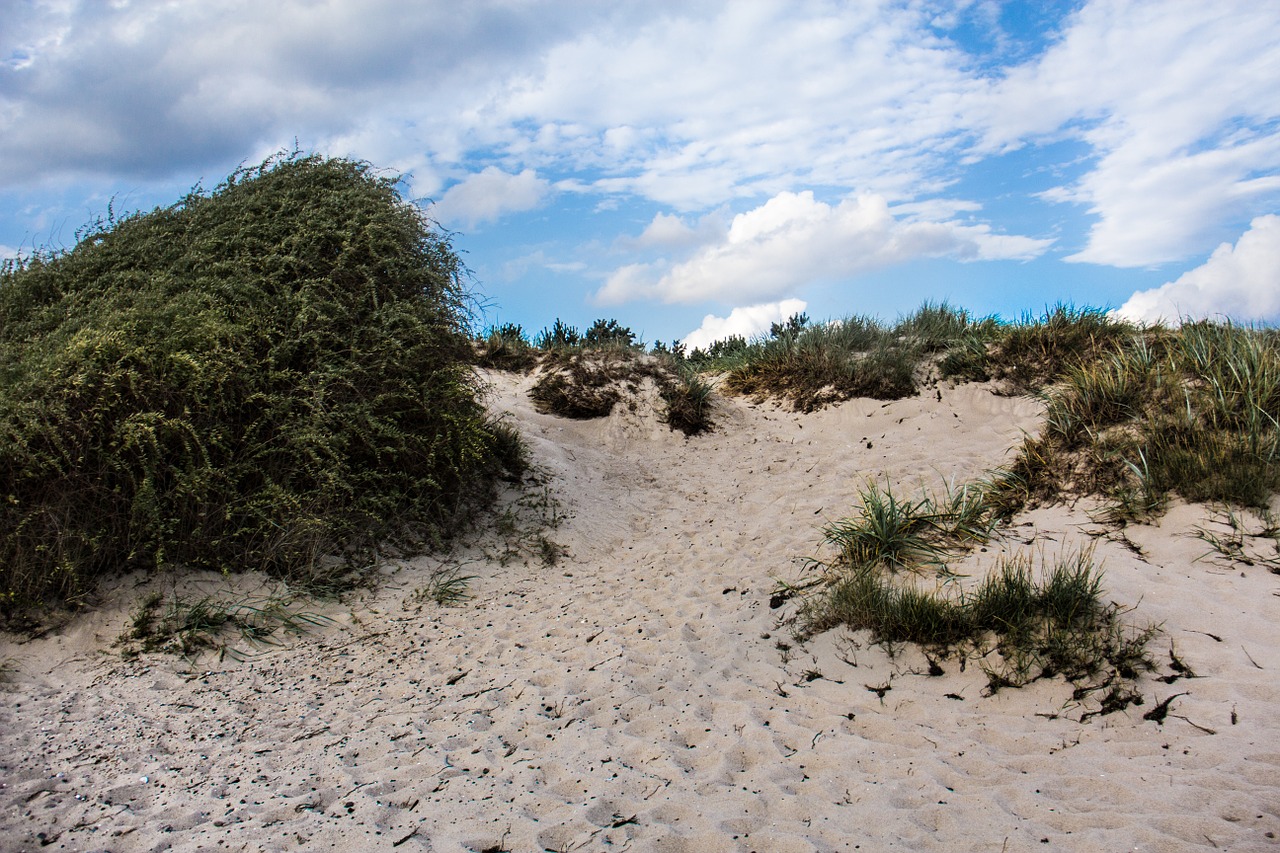 dune baltic sea rügen free photo