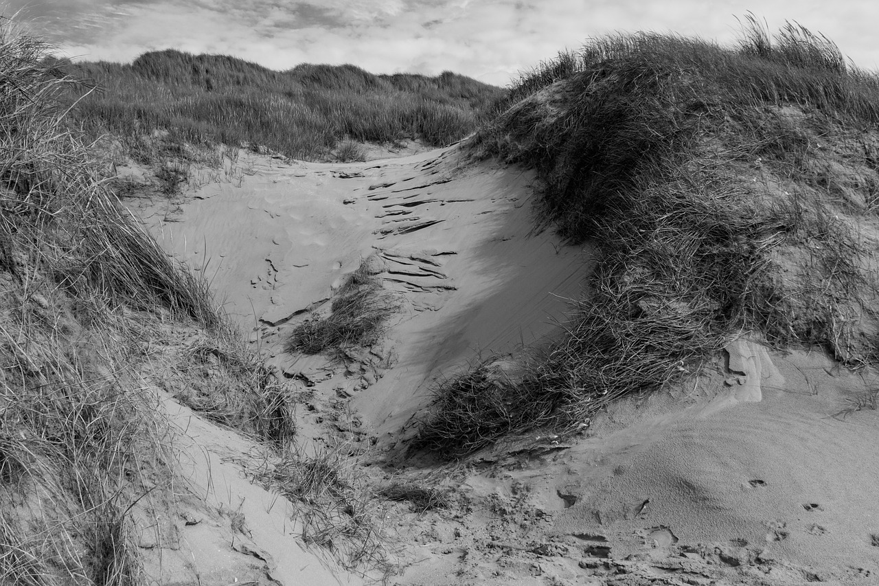 dune north lee holland free photo