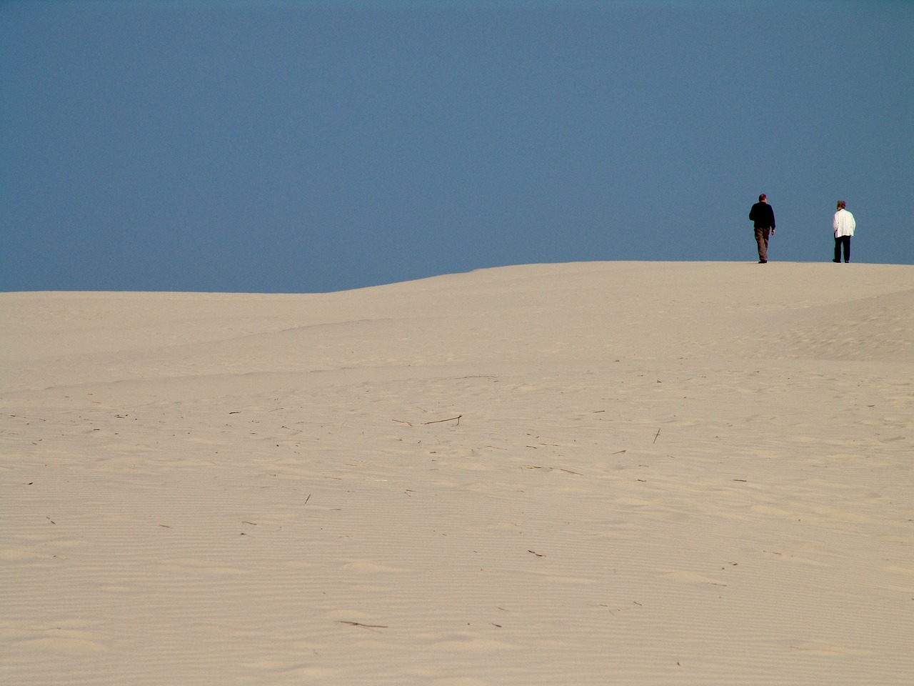 dune sand denmark free photo