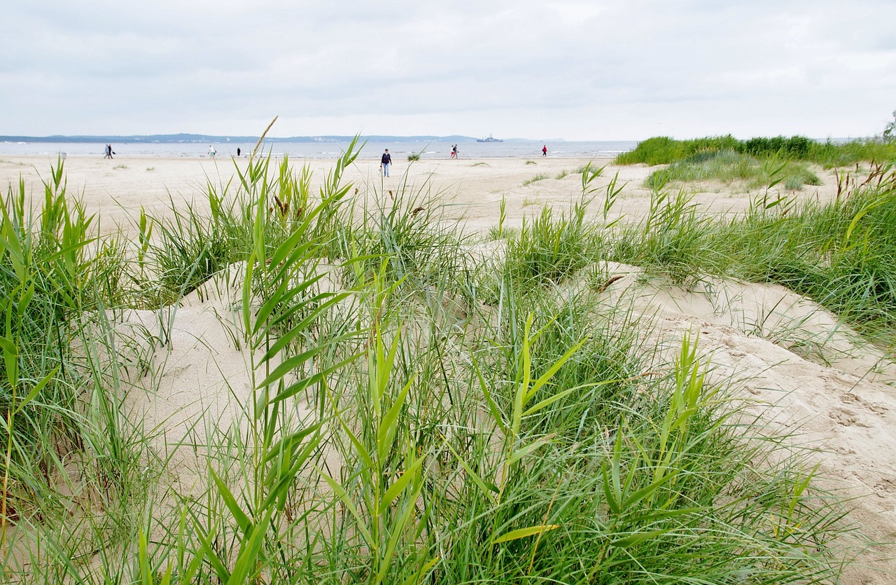 dune dunes sand free photo