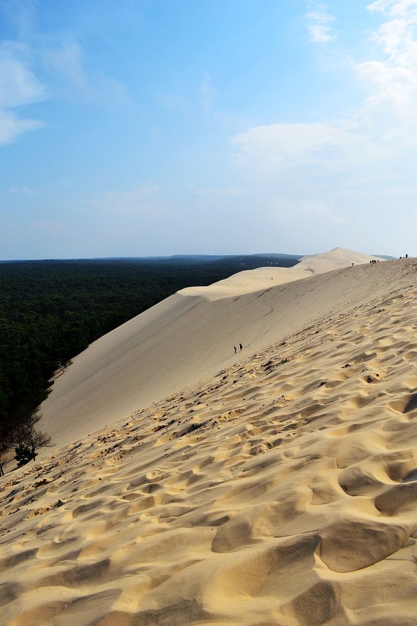dune pilat dune pyla dune free photo