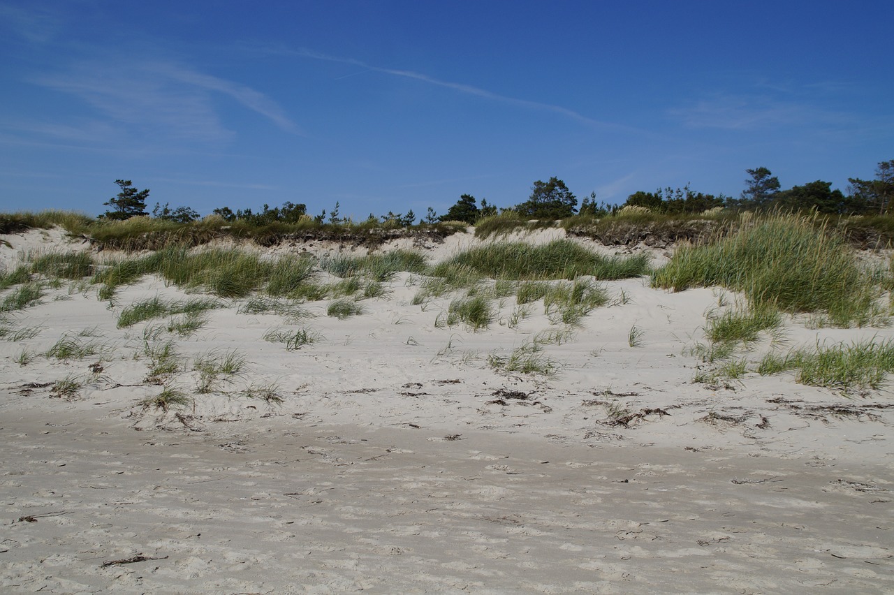 dune dune landscape grasses free photo