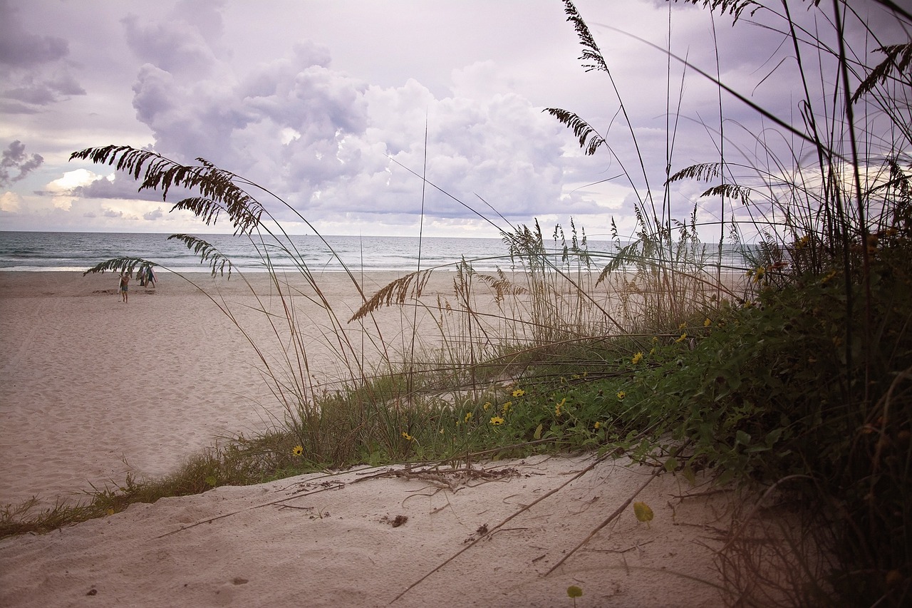 dune sand beach free photo