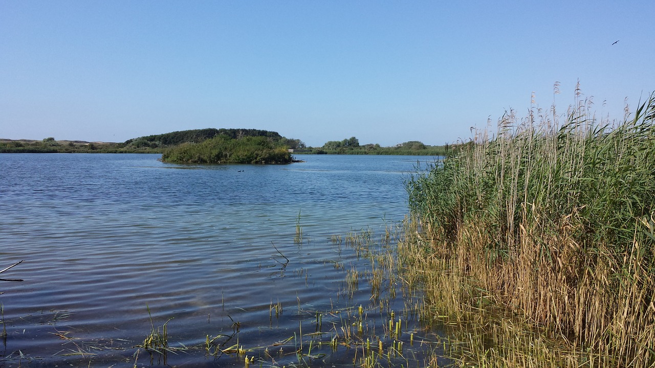 dune area lake in the dunes sunny water free photo