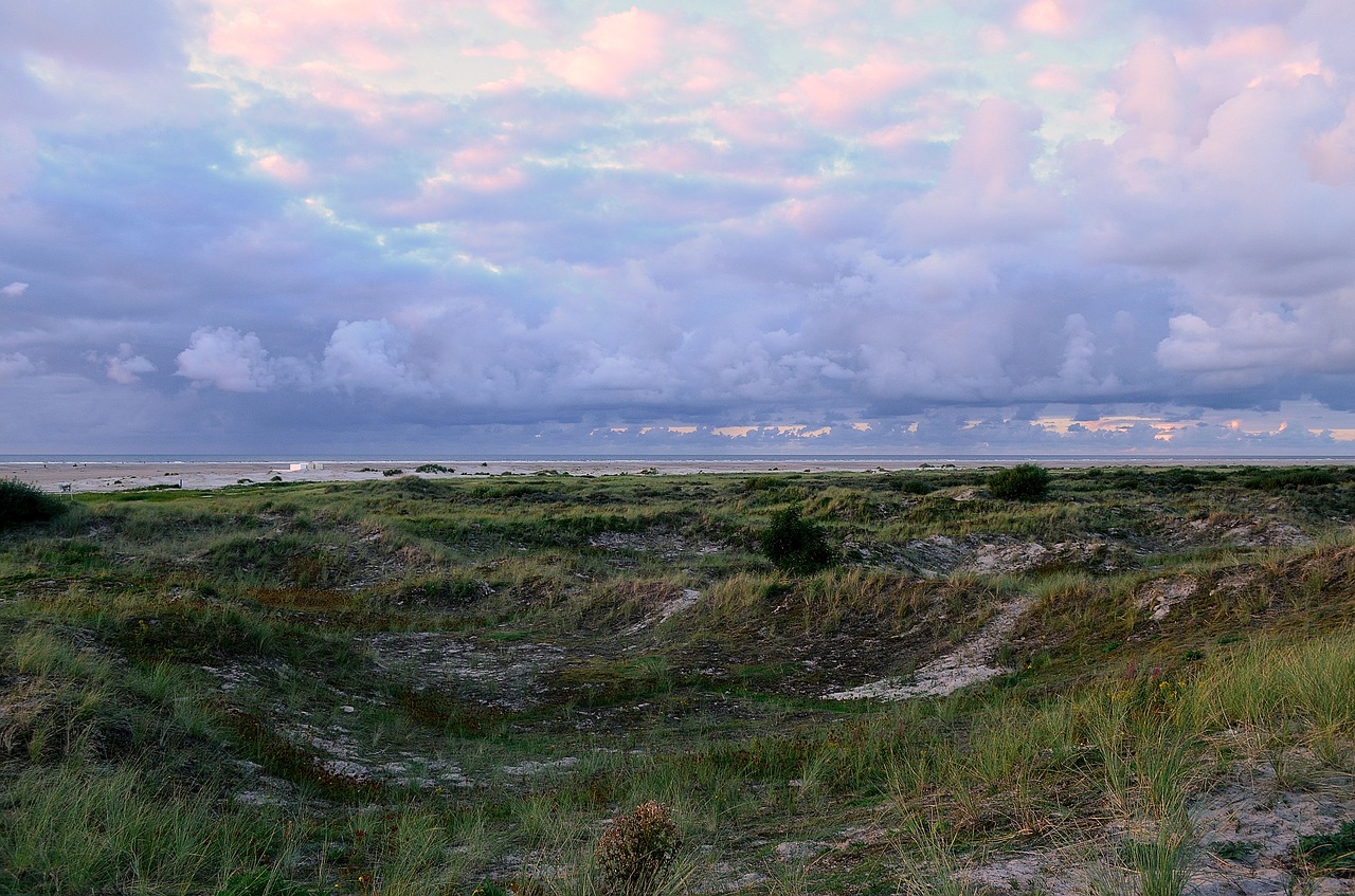 dune landscape borkum youth beach blue hour free photo