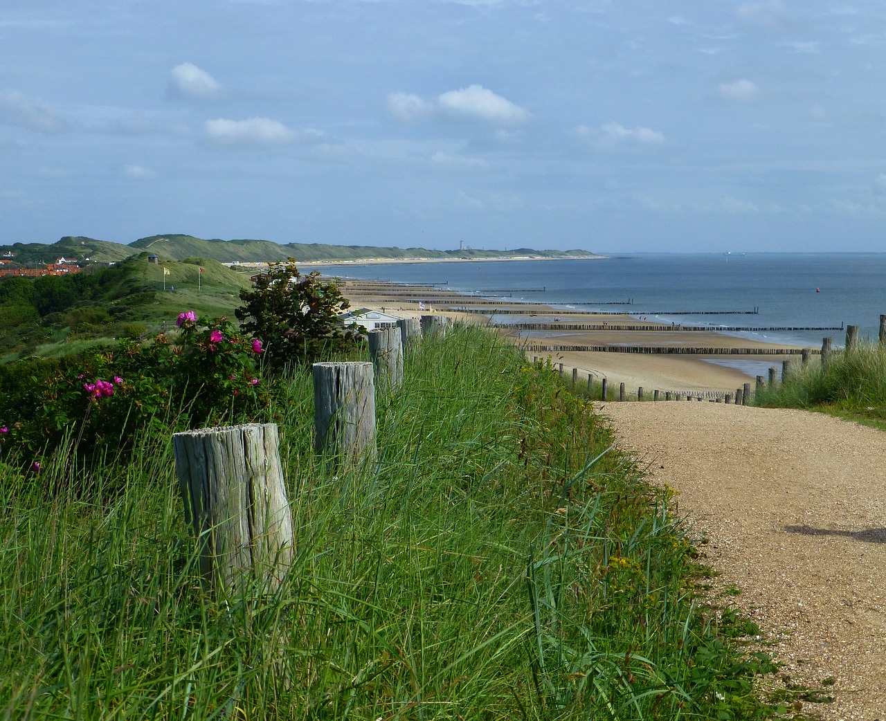 dune landscape north sea sand beach free photo