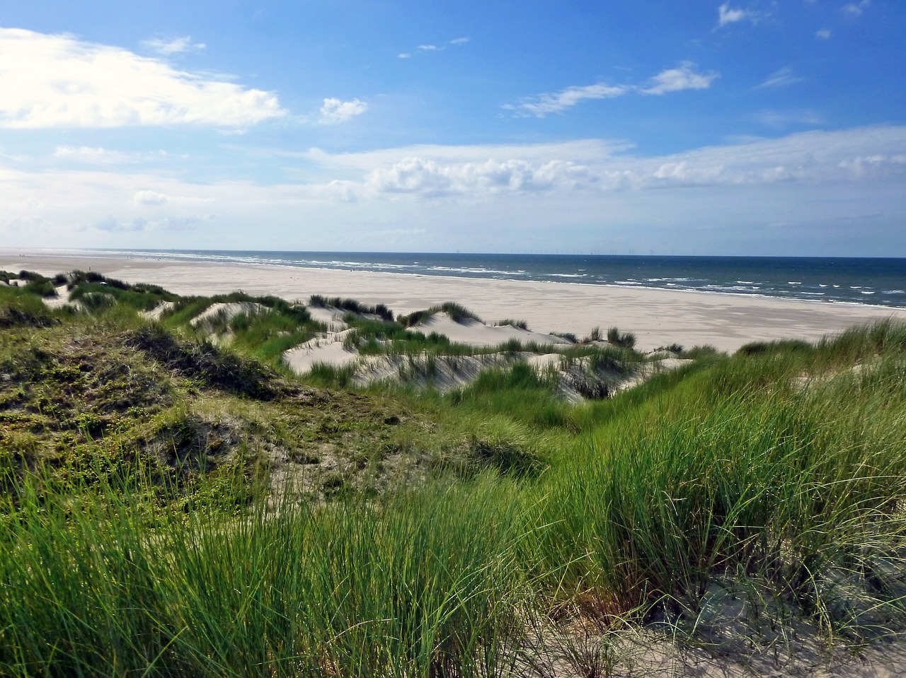 dune landscape borkum island free photo