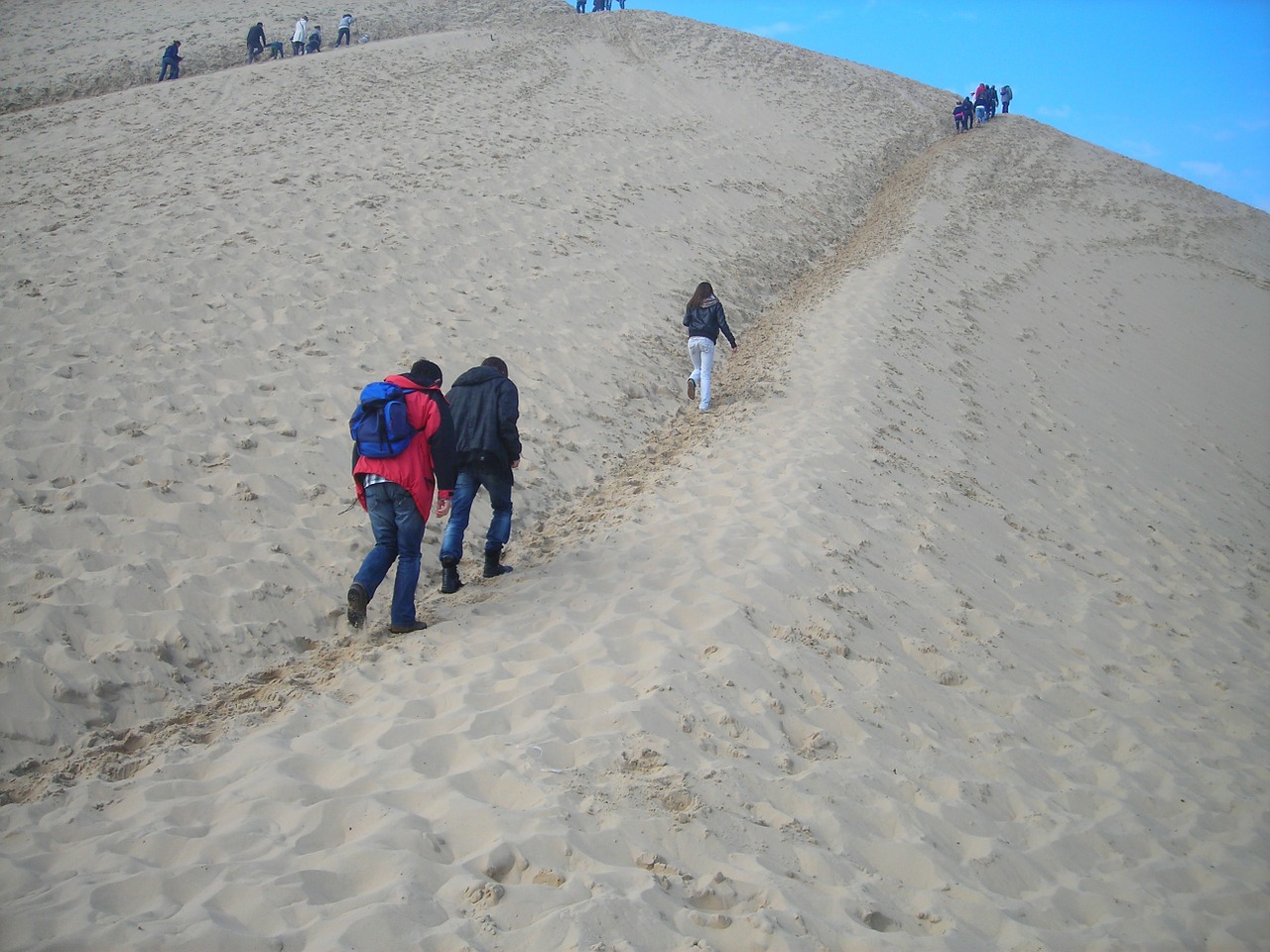 dune of pilat mount sand free photo