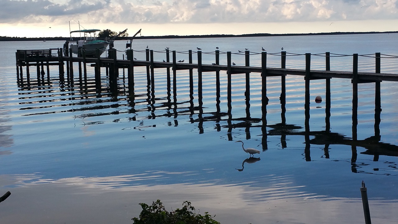 dunedin pier florida free photo