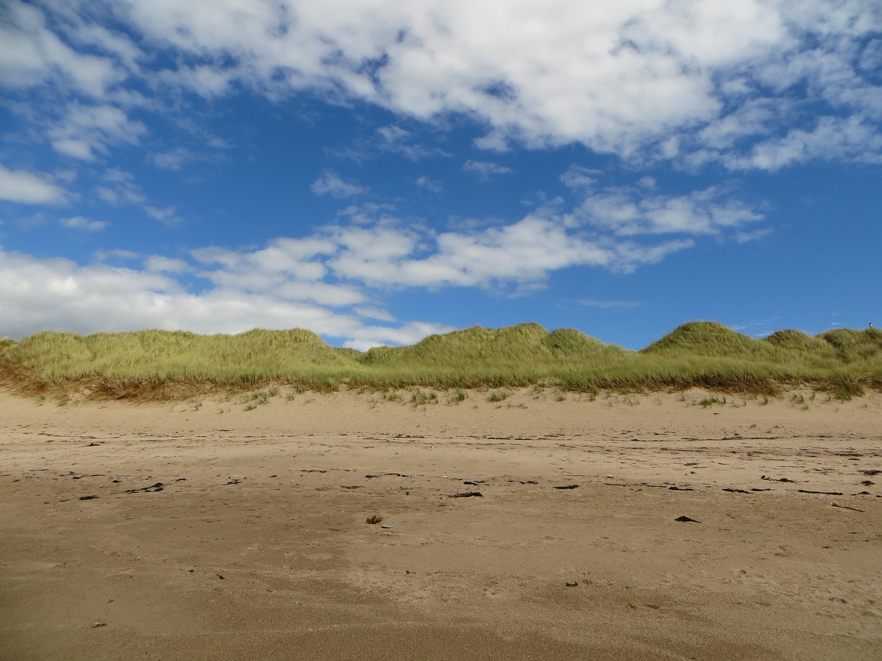 dunes beach sky free photo