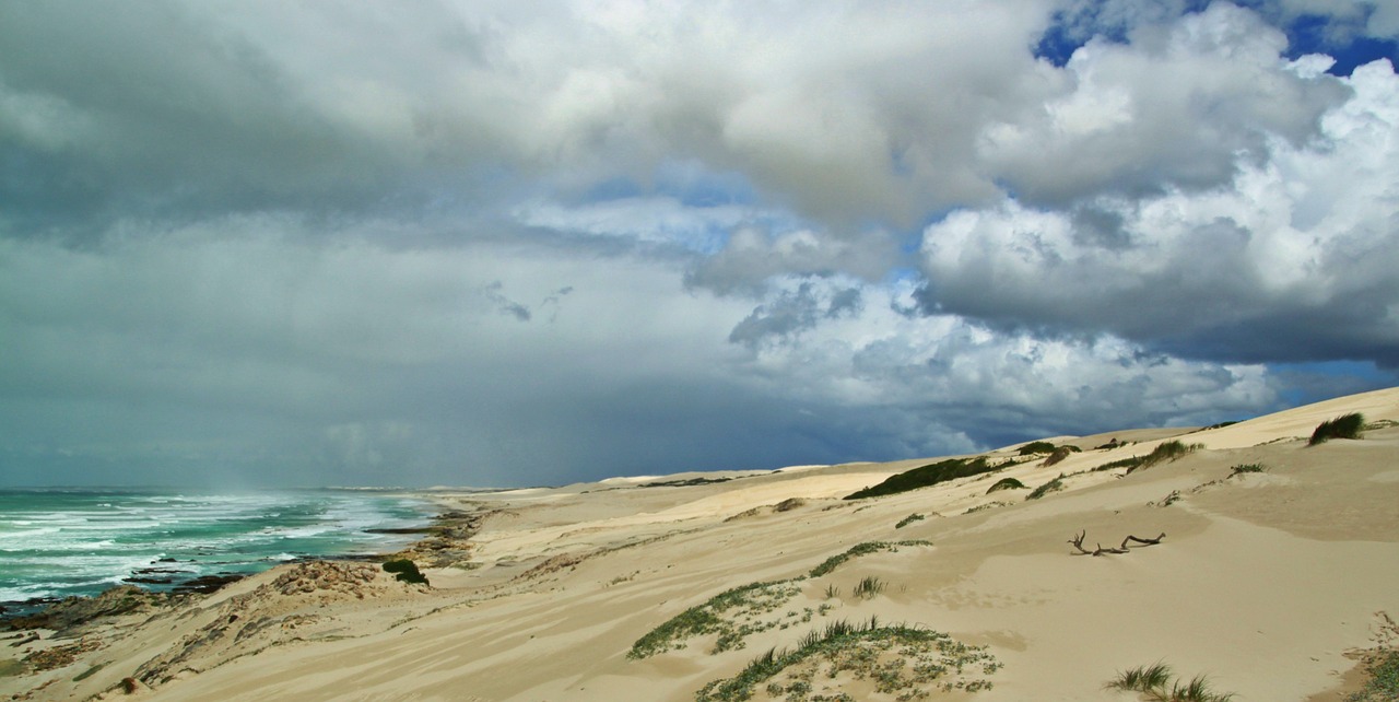 dunes sand beach beach free photo