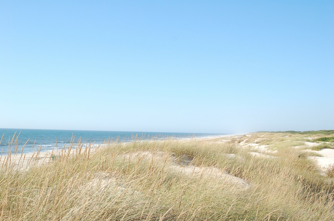 dunes dune ocean free photo