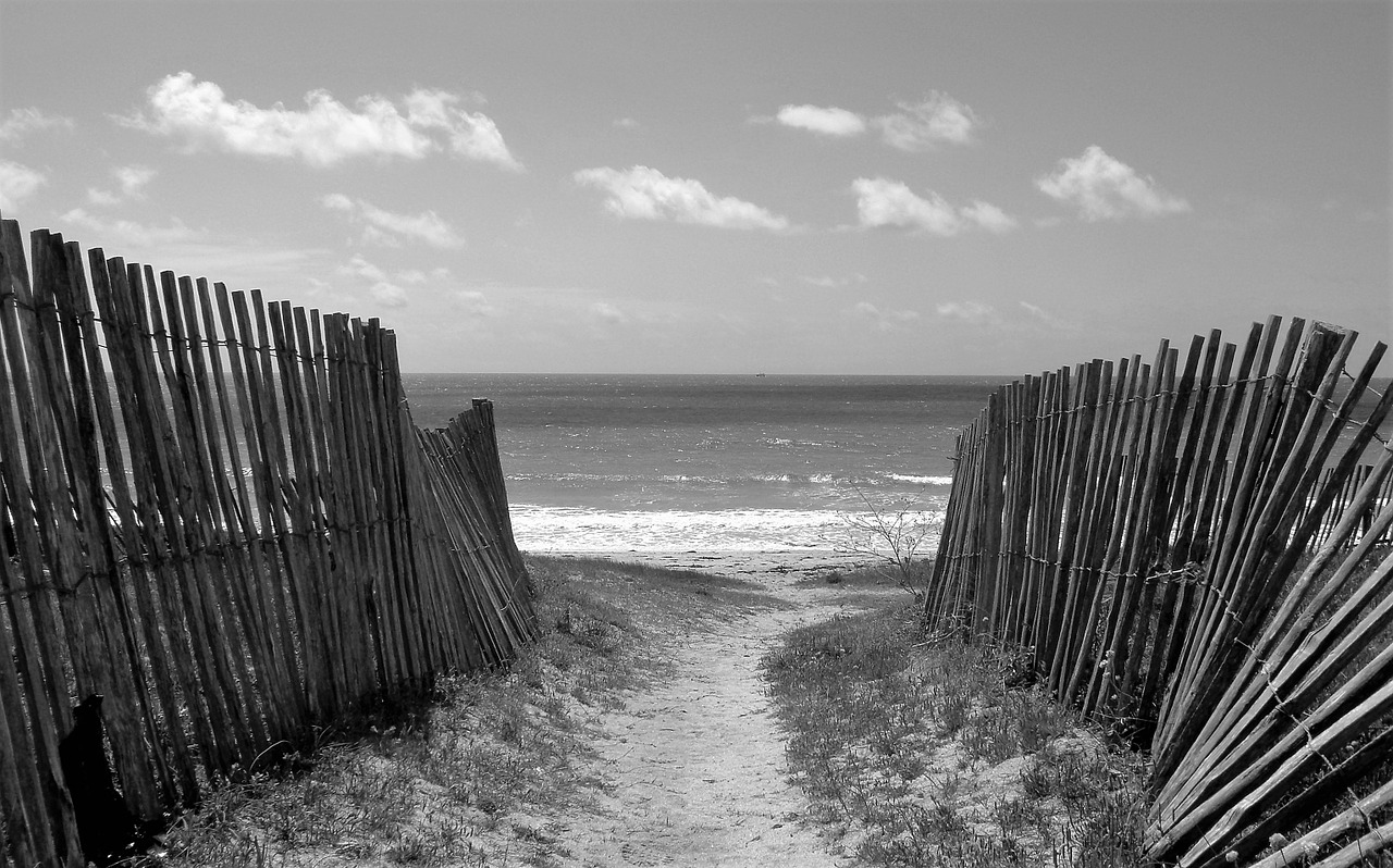 dunes fences beach free photo