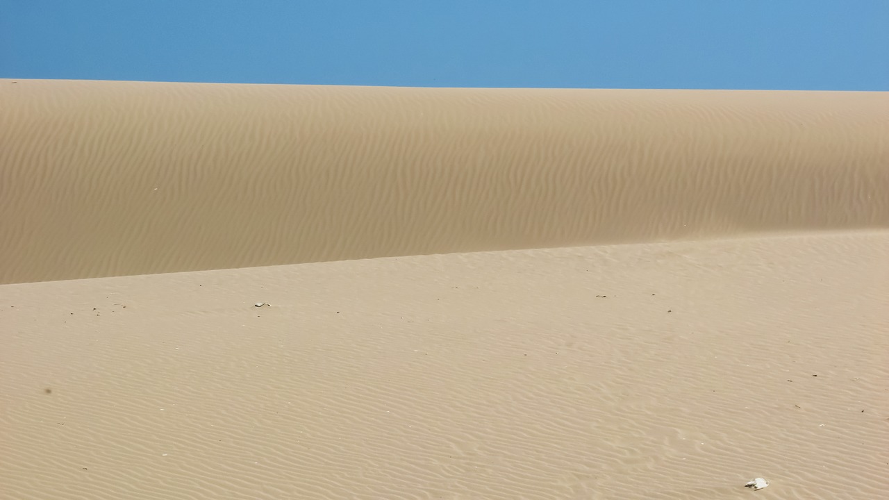 dunes sand sand dunes free photo