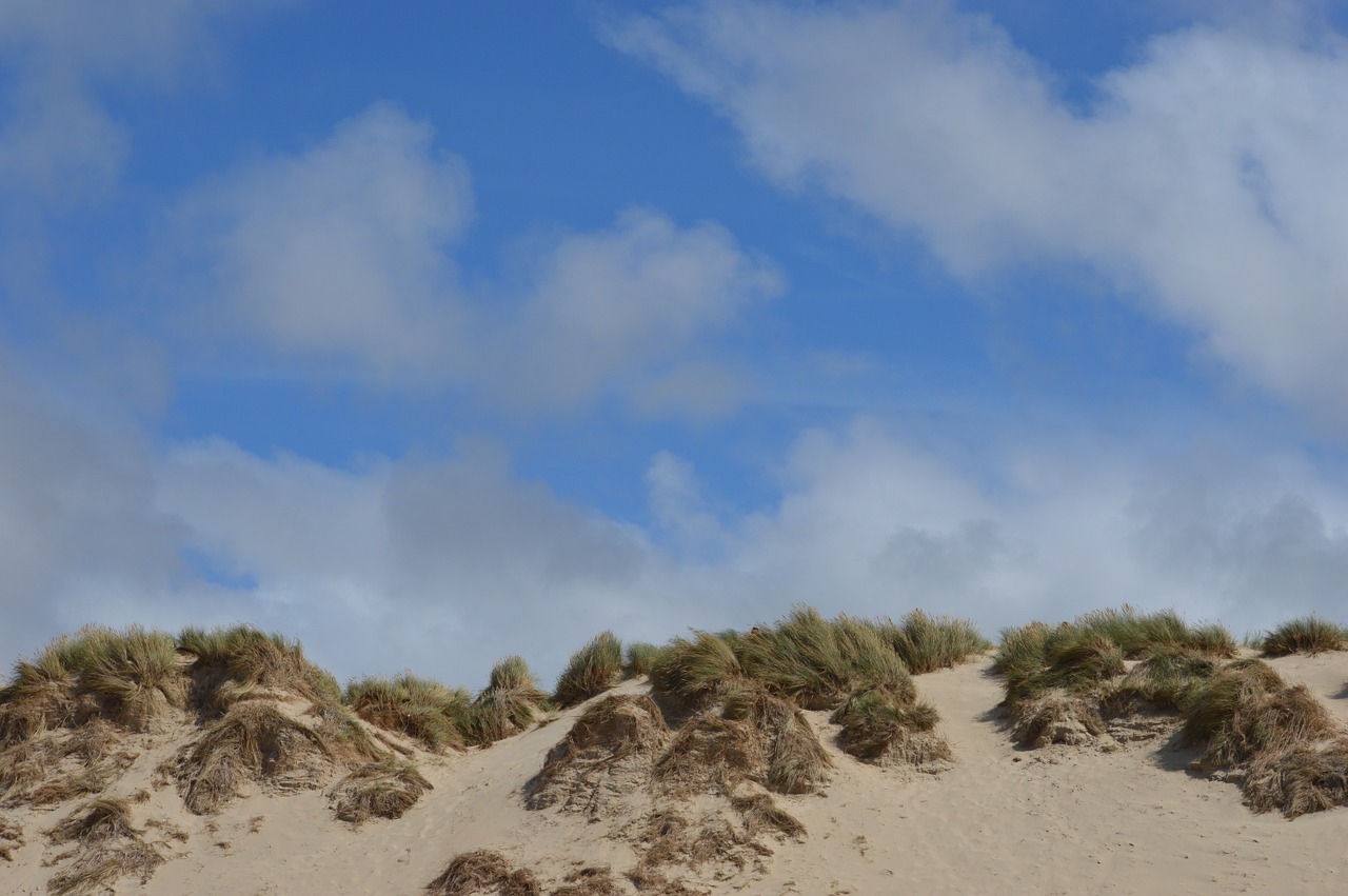 dunes blue sky sand free photo