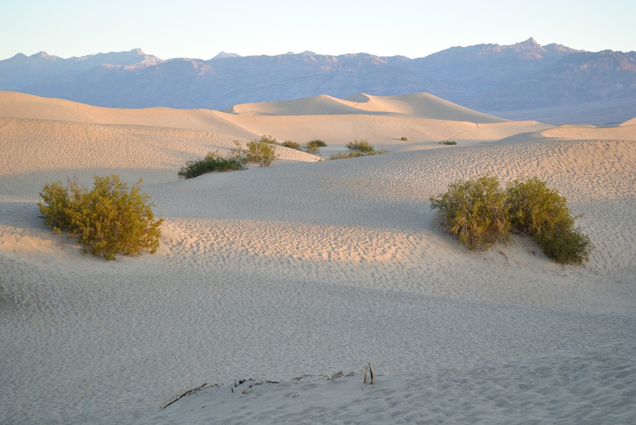dunes sand death valley free photo