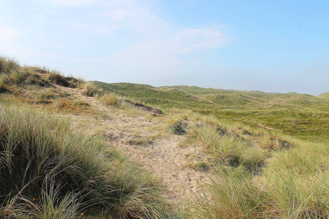 dunes danish denmark free photo