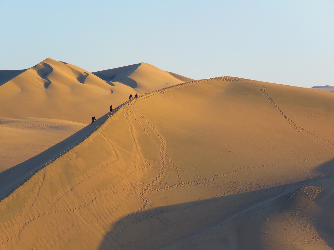 dunes desert sunset free photo