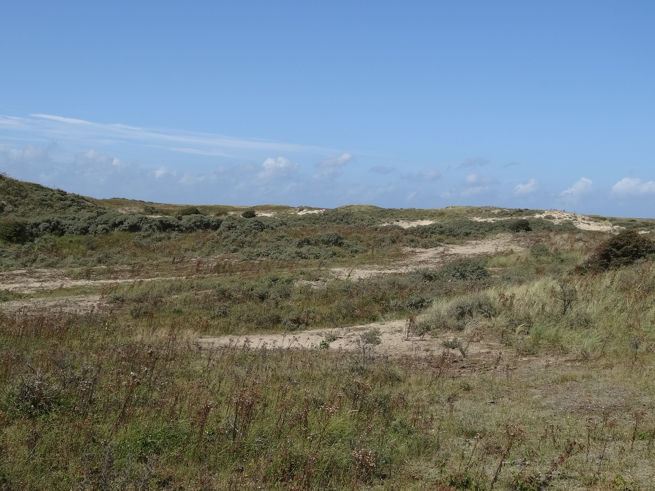 dunes summer netherlands free photo