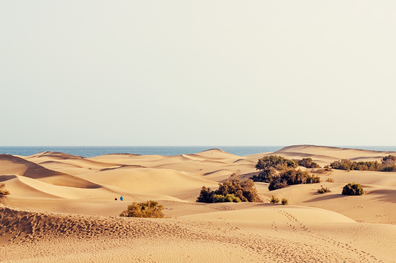 dunes holiday sand free photo